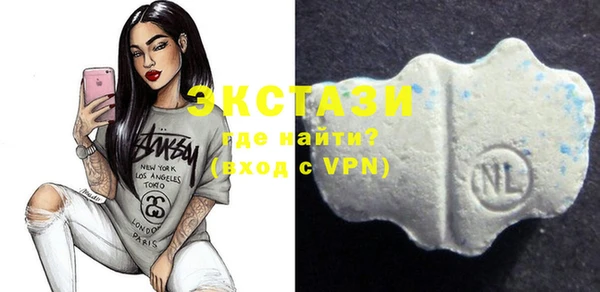 индика Алексин