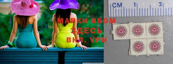хмурый Алзамай