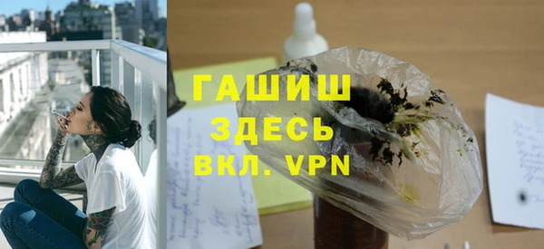 индика Алексин