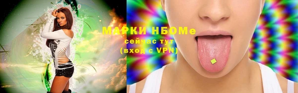 хмурый Алзамай