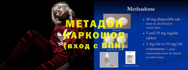 индика Алексин