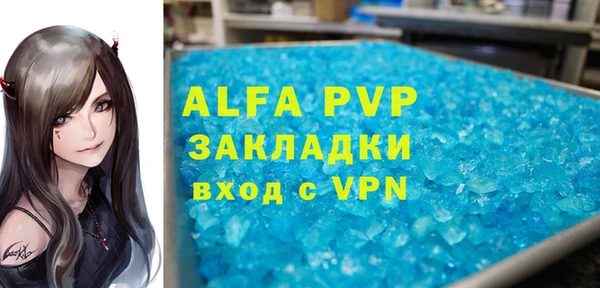 индика Алексин